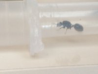 20220403_094614.jpg