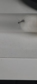 20220403_115626.jpg