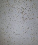 06D278EB-929E-451D-8099-744230EA1B41.jpeg