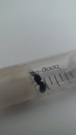 IMG-20221120-WA0015.jpeg