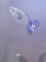 20230123_190138.jpg