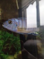 IMG20230130153322.jpg