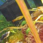 20230131_204536.jpg
