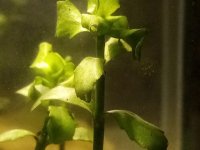 IMG_20230205_195730.jpg