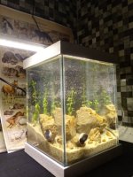 IMG_20230210_214314.jpg