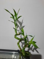 20230218_003937.jpg