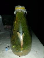 IMG_20230104_005218.jpg