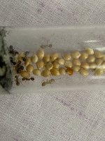 IMG_3116.jpeg