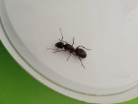 IMG_20230513_171149.jpg
