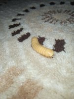 IMG_20230513_223932.jpg