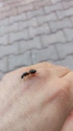 IMG_20230515_175038.jpg