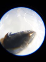20230515_195053.jpg
