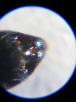 20230515_191424.jpg