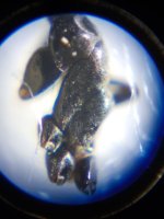 20230515_191119.jpg