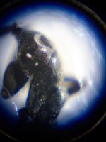 20230515_190847.jpg