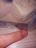20230517_172521.jpg