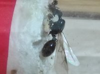 IMG_20230517_225249.jpg