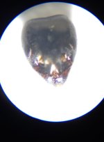 20230518_174311.jpg