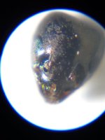 20230518_180815.jpg
