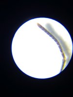 20230518_182743.jpg