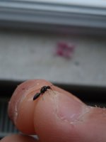 IMG_20230515_161106_1.jpg