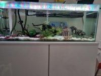 20230605_060931.jpg
