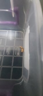 20230614_182745.jpg