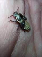 IMG_20230620_220743.jpg