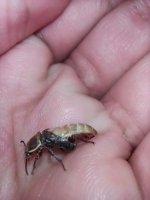 IMG_20230620_220740.jpg