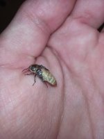 IMG_20230620_220645.jpg