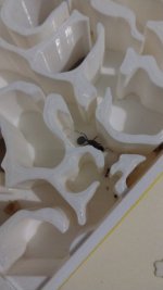 IMG-20230623-WA0022.jpeg