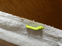 IMG_2721.jpeg