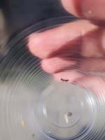 20230624_162432.jpg