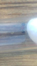 20230625_162044.jpg