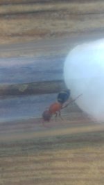20230625_162042.jpg