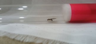 IMG_20230628_220848.jpg