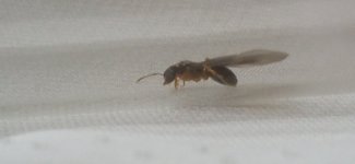 IMG_20230628_220900.jpg