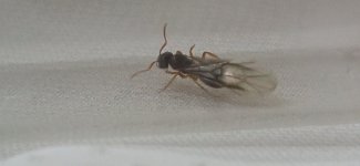 IMG_20230628_220911.jpg