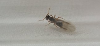 IMG_20230628_220923.jpg