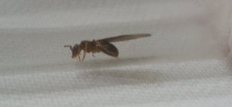 IMG_20230628_220945.jpg