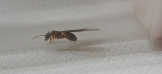 IMG_20230628_221001.jpg