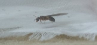 IMG_20230628_221052.jpg