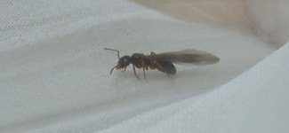 IMG_20230628_221304.jpg