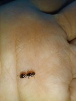 IMG20230703202018.jpg