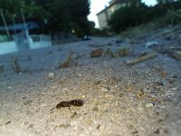 IMG20230703202145.jpg