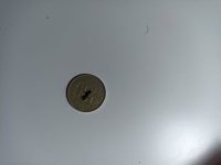 IMG_20230703_205425.jpg