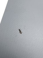 IMG_20230703_205209.jpg