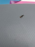 IMG_20230703_205206.jpg