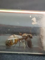 20230704_005816.jpg