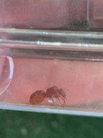 IMG_2207.jpeg